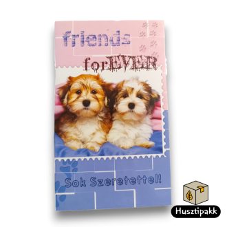   Képeslap - Sok szeretettel! - Friends forEVER felirat, kutyák E